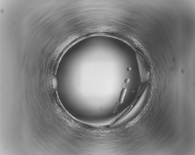 X0000056321073200509092257