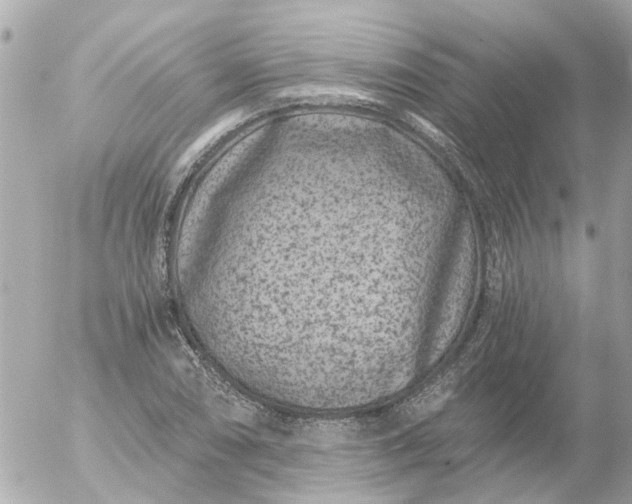 X0000056321074200509092256