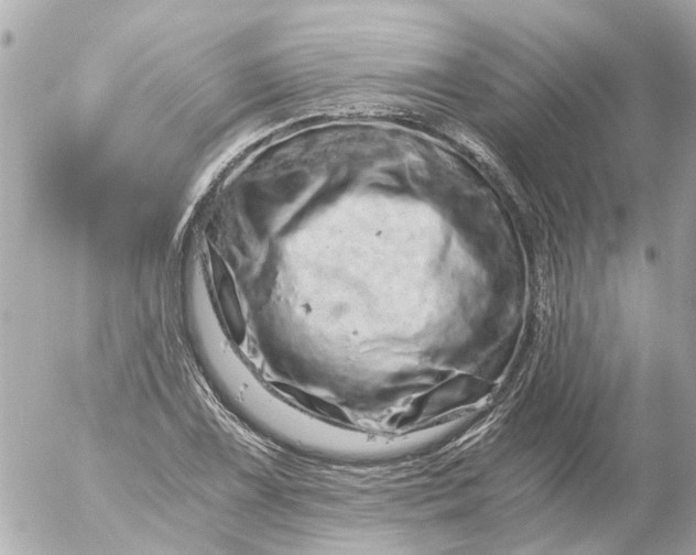 X0000056321075200509092256