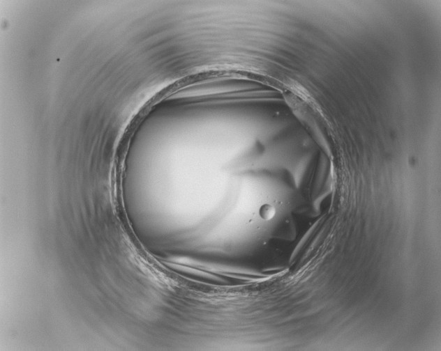 X0000056321076200509092256