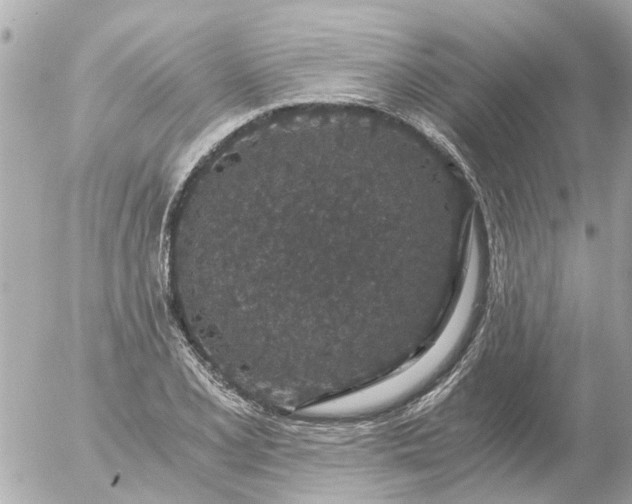 X0000056321077200509092256