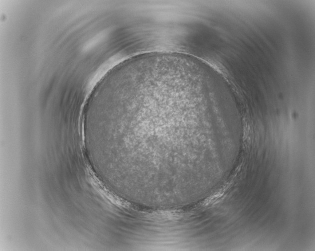 X0000056321078200509092256