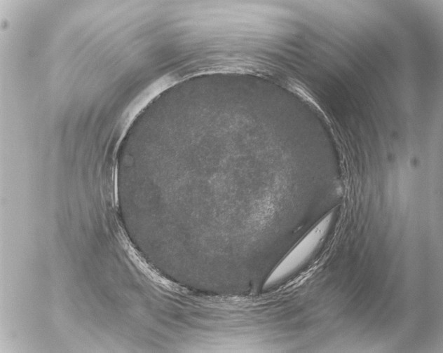 X0000056321079200509092256