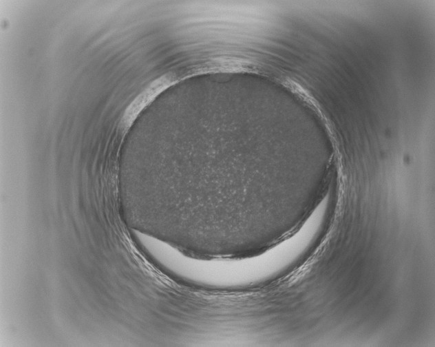 X0000056321081200509092256