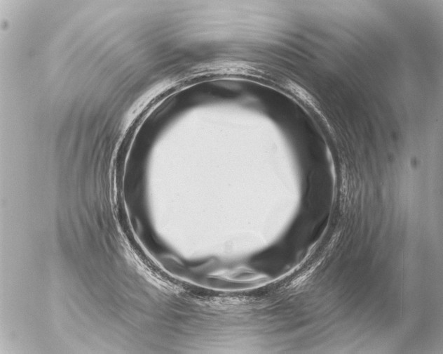 X0000056321082200509092256