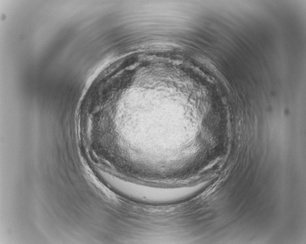 X0000056321083200509092256