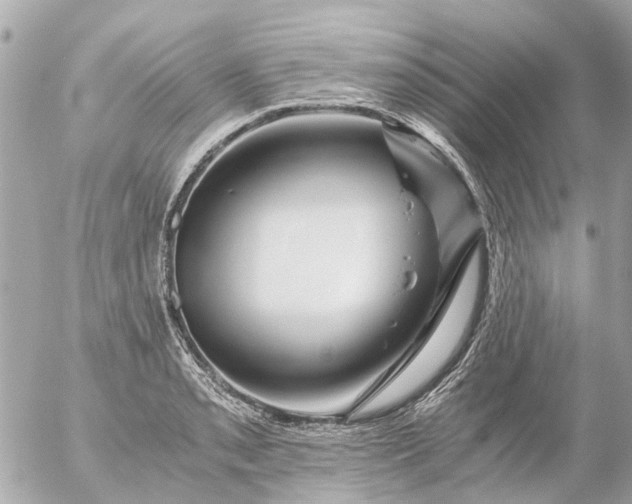 X0000056321085200509092256