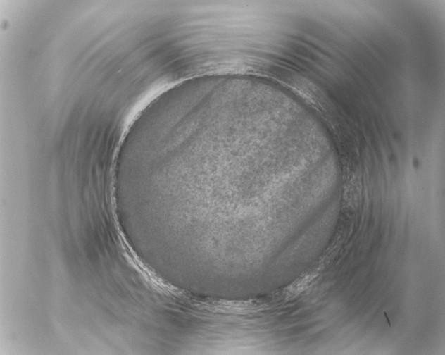 X0000056321086200509092256