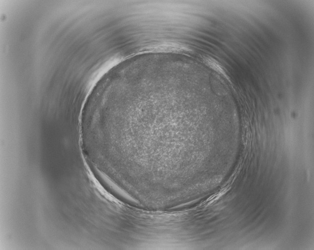 X0000056321087200509092256