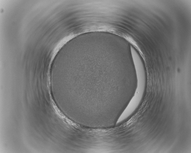 X0000056321088200509092256