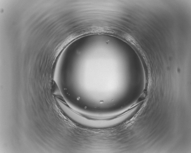 X0000056321089200509092256