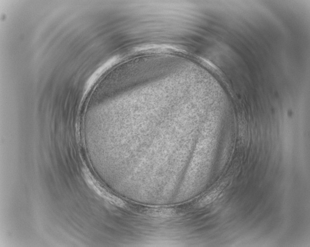 X0000056321090200509092256