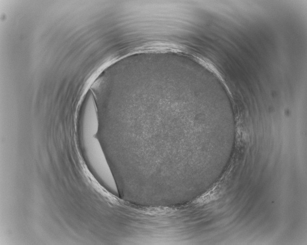 X0000056321091200509092256