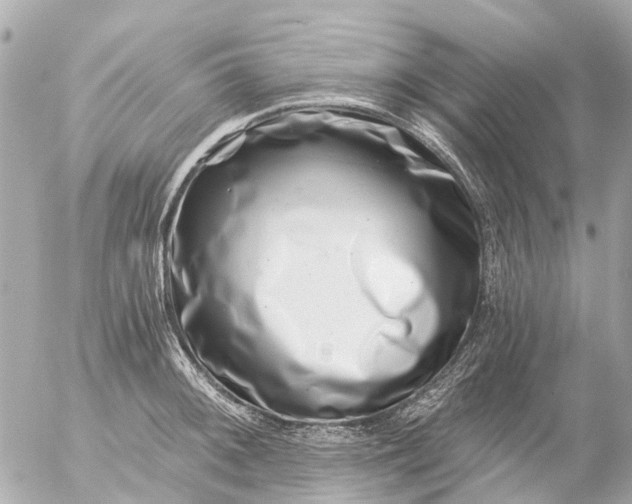 X0000056321092200509092256