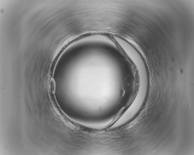 X0000056321093200509092256