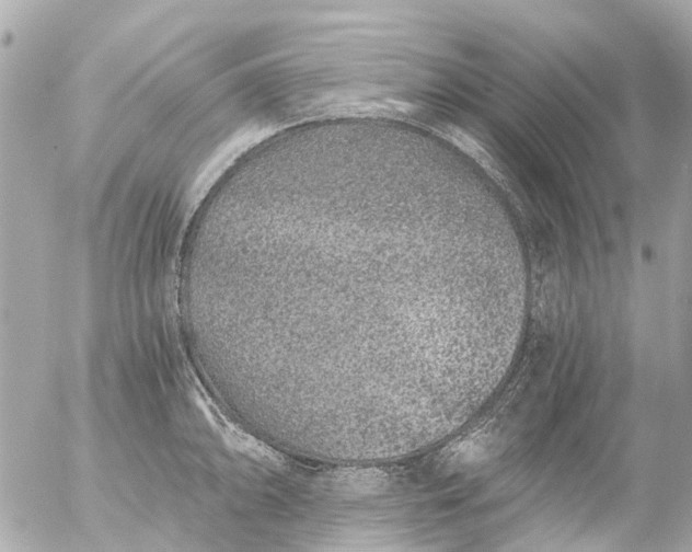 X0000056321094200509092256