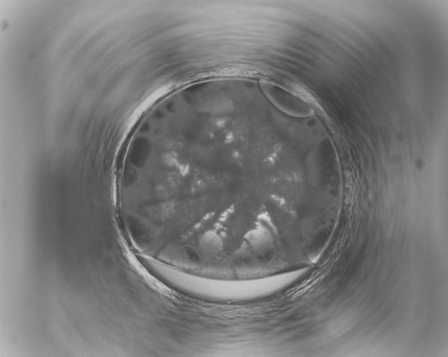 X0000056321095200509092256