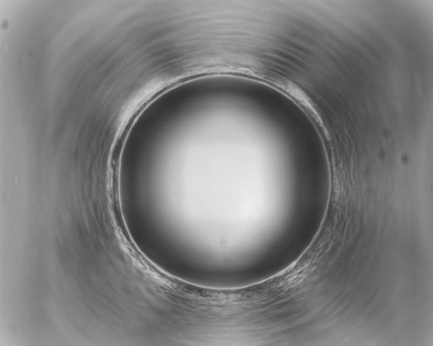 X0000056321096200509092256