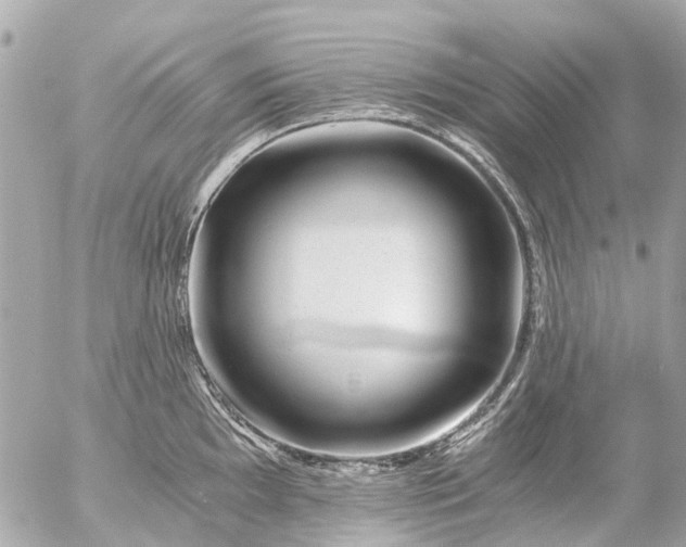 X0000056321097200509092256