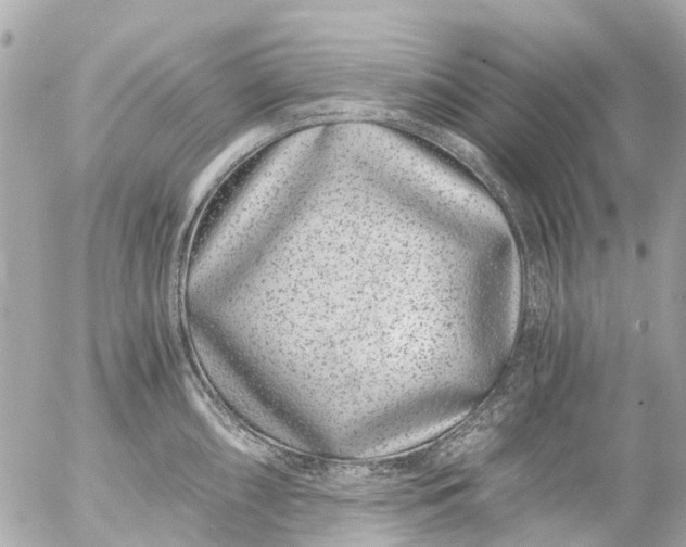 X0000056321098200509092256