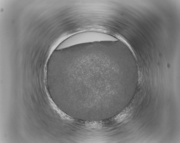 X0000056321099200509092256