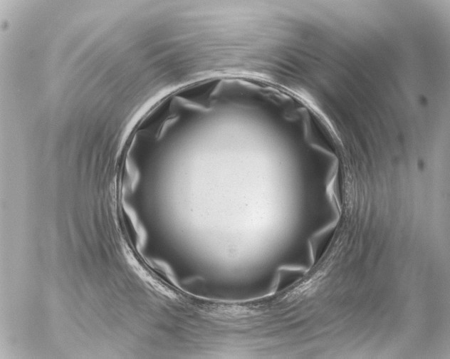 X0000056321100200509092256