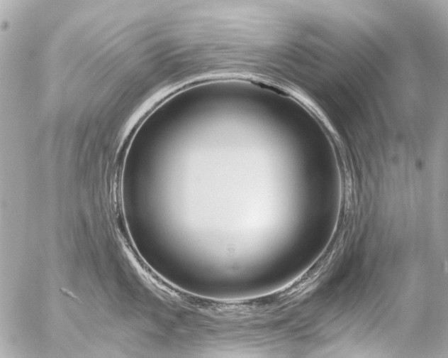 X0000056321101200509092256