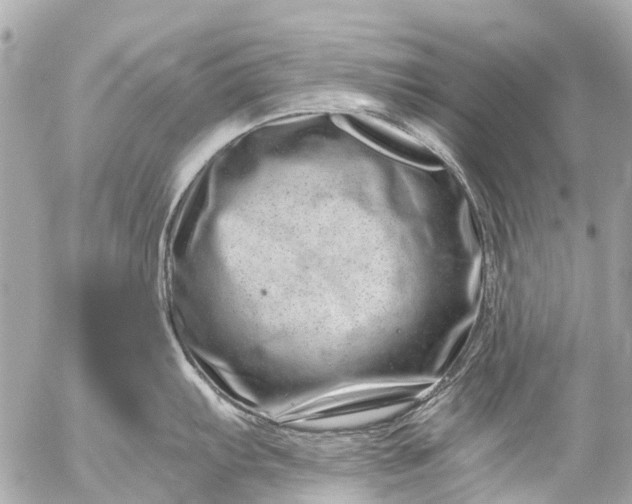 X0000056321103200509092256