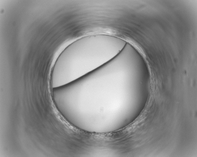 X0000056321104200509092256