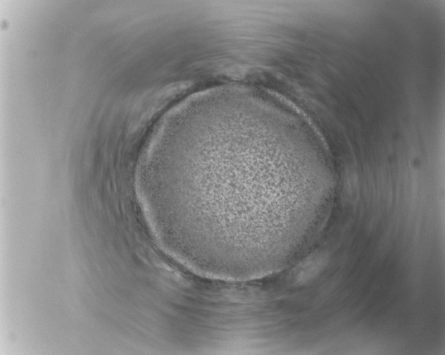 X0000056321105200509092255