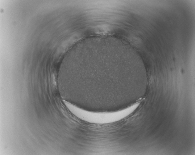 X0000056321106200509092255