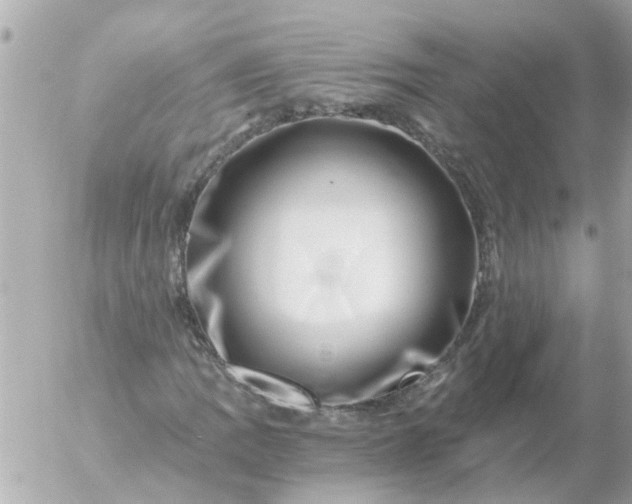 X0000056321109200509092255