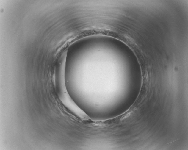 X0000056321110200509092255