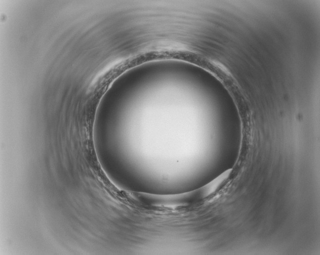 X0000056321112200509092255