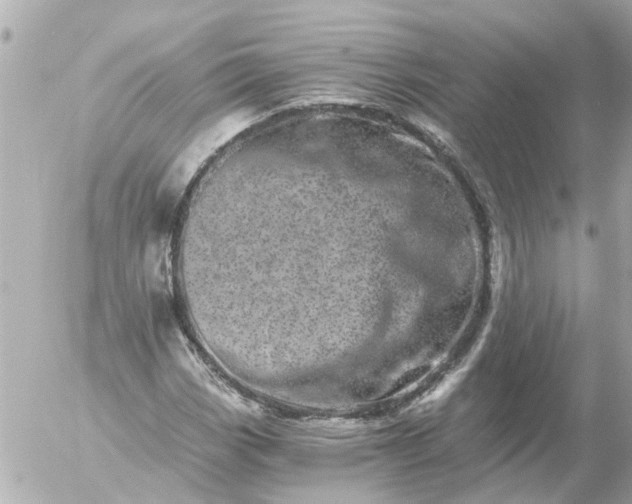 X0000056321113200509092255