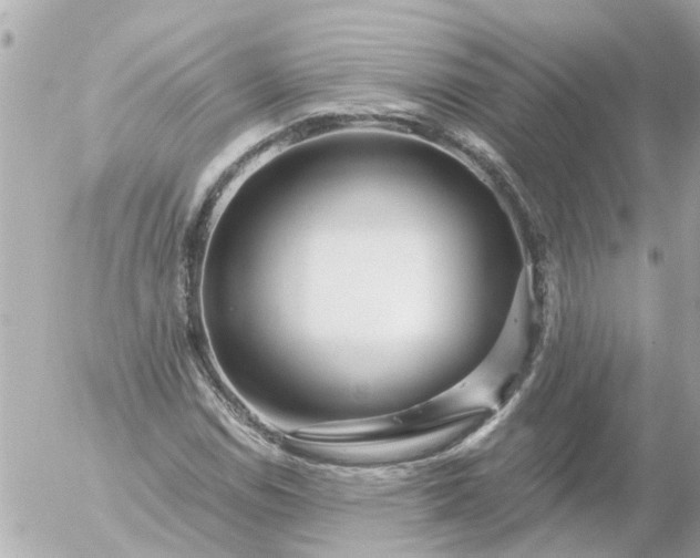 X0000056321114200509092255