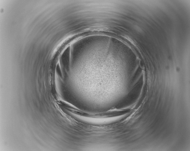 X0000056321115200509092255