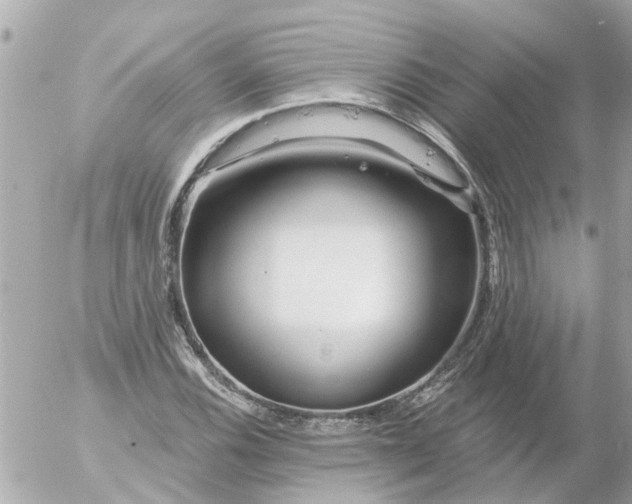 X0000056321116200509092255