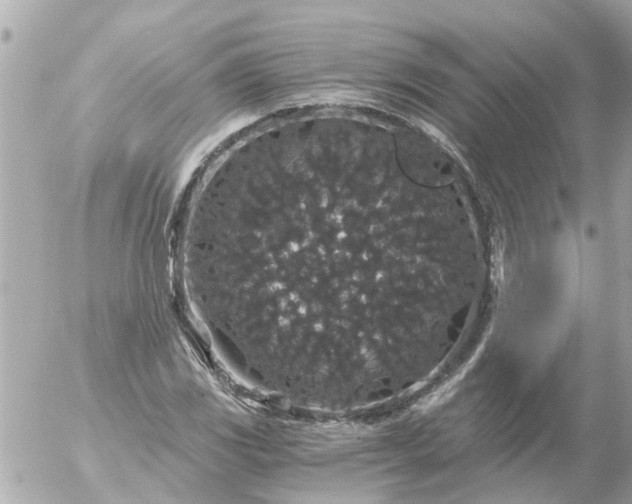 X0000056321117200509092255