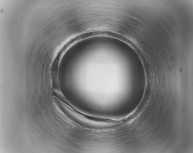 X0000056321118200509092255