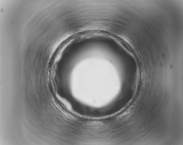 X0000056321119200509092255