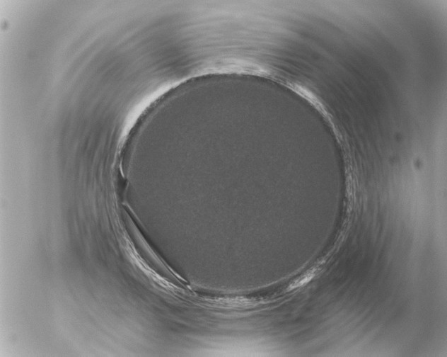 X0000056321120200509092255