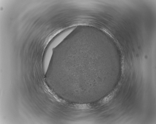 X0000056321121200509092255