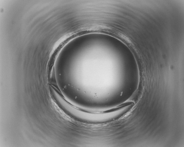 X0000056321122200509092255