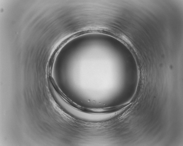 X0000056321124200509092256