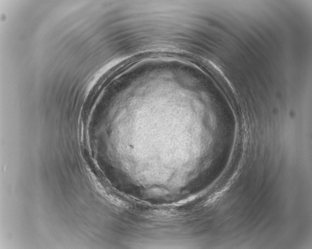 X0000056321125200509092256