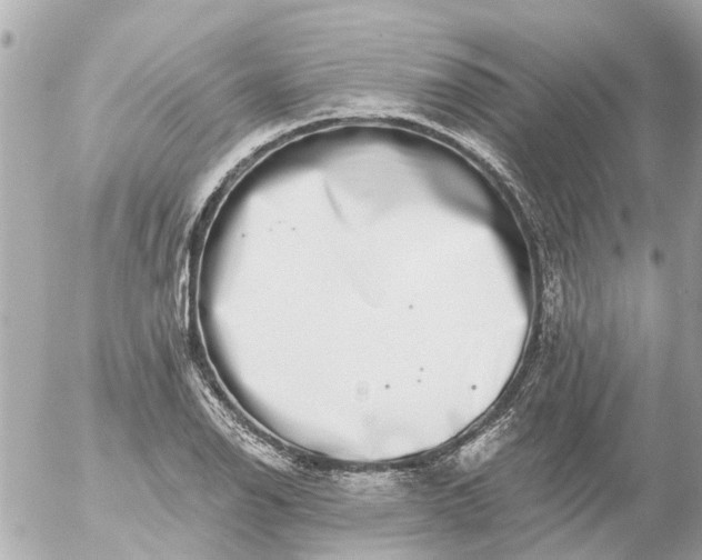 X0000056321126200509092256