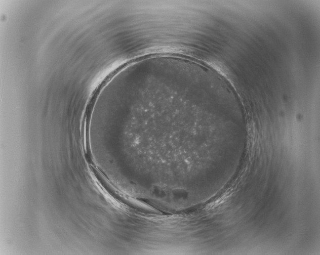 X0000056321127200509092256