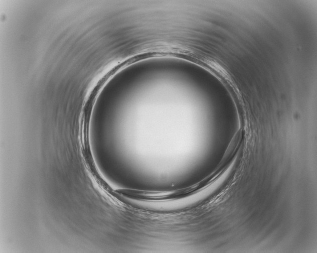 X0000056321128200509092256