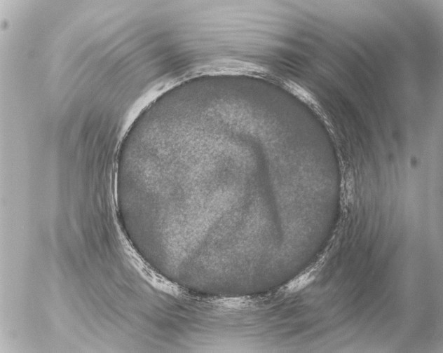 X0000056321130200509092256